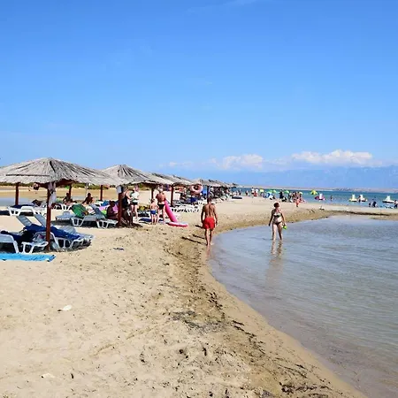 Sonja Privlaka (Zadar)